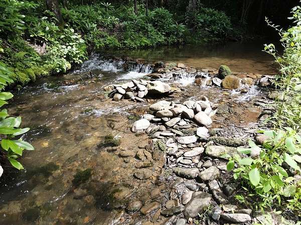 43.8 Acres of Land for Sale in Turtletown, Tennessee