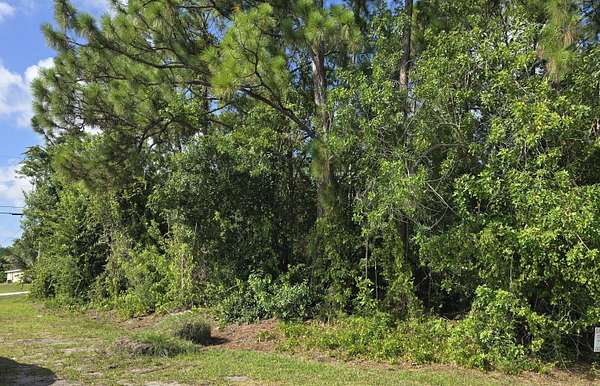 0.3 Acres of Residential Land for Sale in Port St. Lucie, Florida