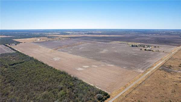 29 Acres of Agricultural Land for Sale in Sandia, Texas