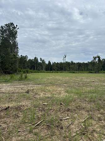35.1 Acres of Land for Sale in Loris, South Carolina