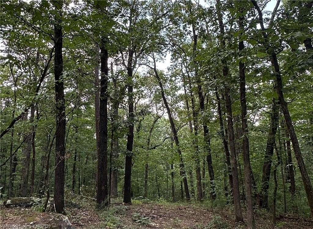 0.62 Acres of Residential Land for Sale in Ozark, Arkansas
