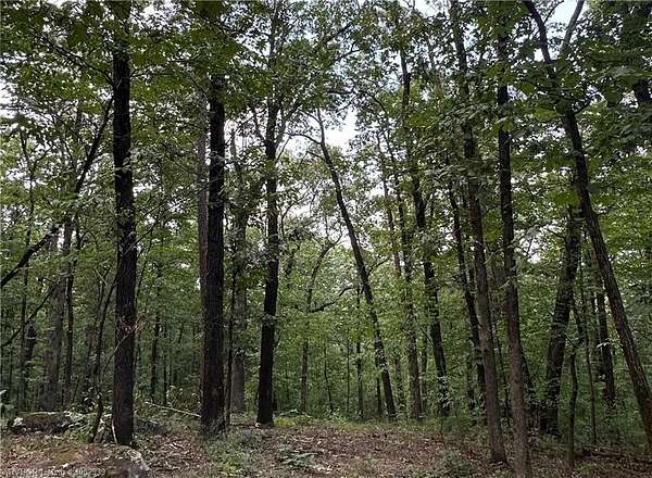 0.62 Acres of Residential Land for Sale in Ozark, Arkansas