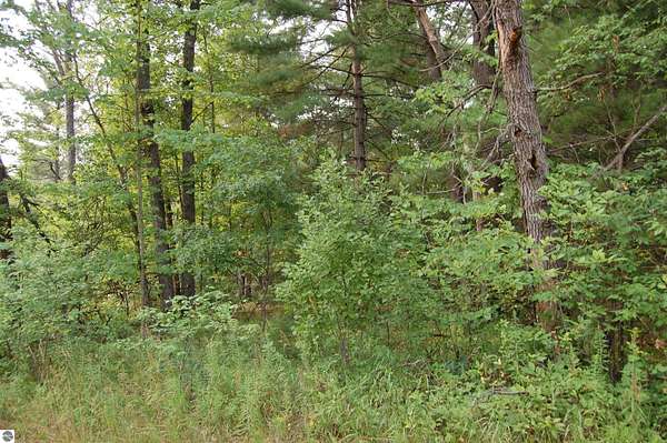 0.36 Acres of Land for Sale in Prescott, Michigan