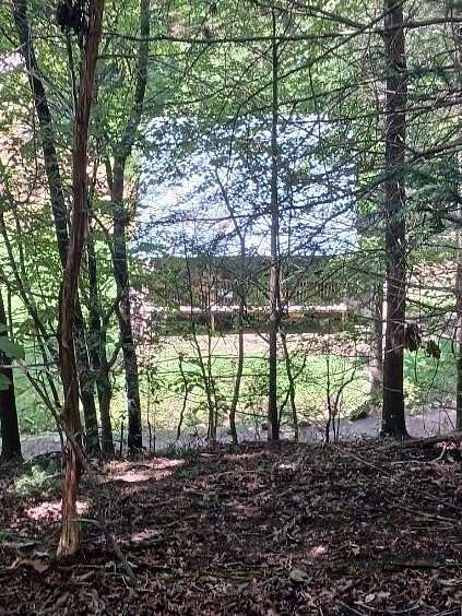 3.84 Acres of Residential Land with Home for Sale in Newport, Tennessee