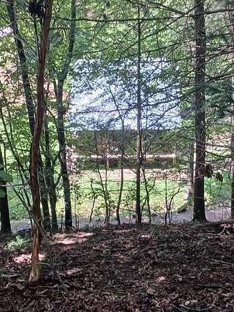 3.84 Acres of Residential Land with Home for Sale in Newport, Tennessee