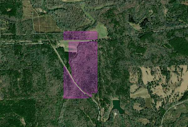 68 Acres of Recreational Land for Sale in Tuskegee, Alabama