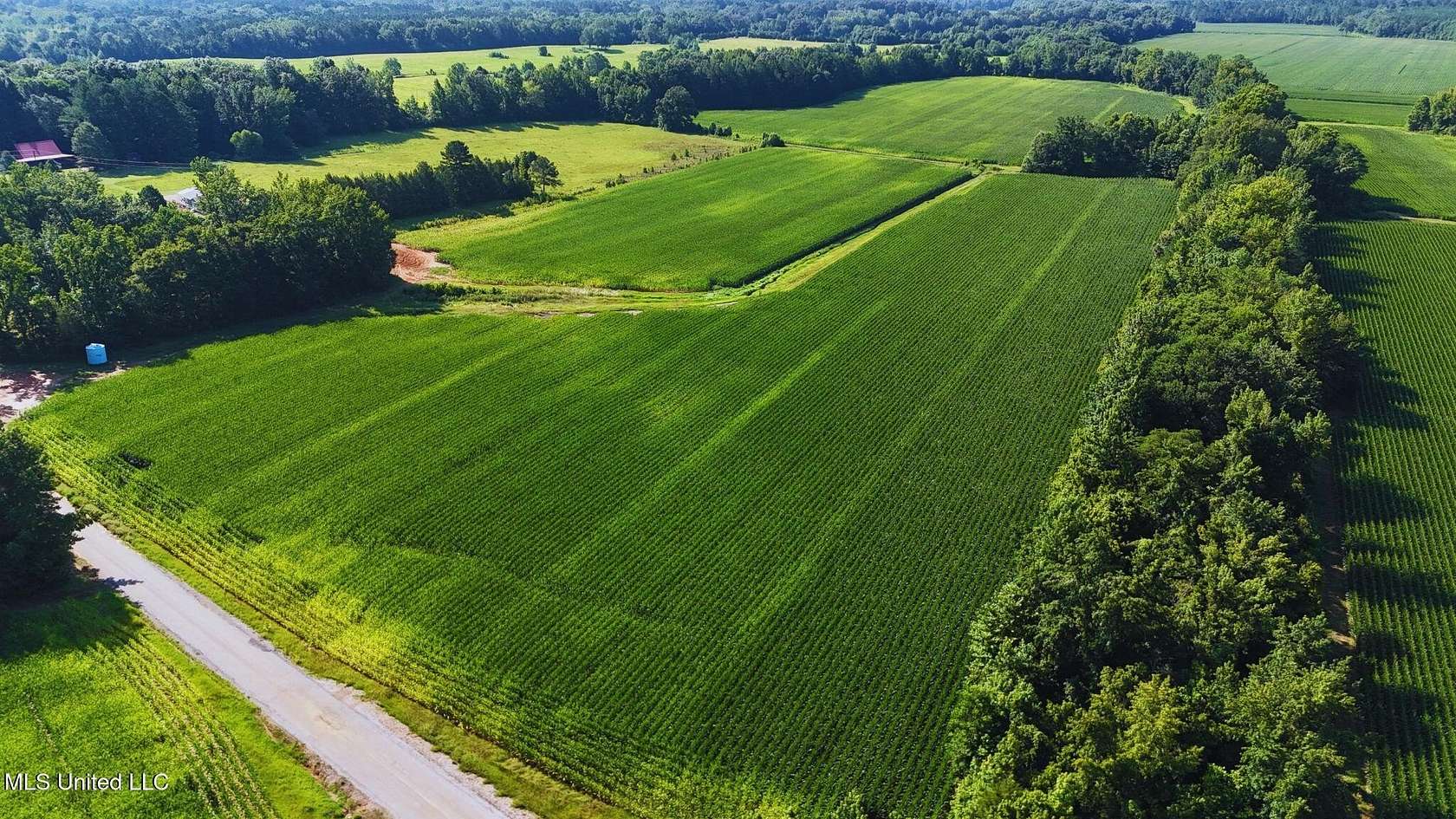 42 Acres of Agricultural Land for Sale in Eupora, Mississippi