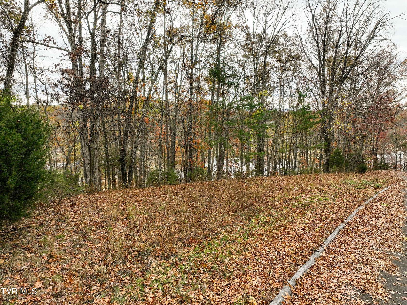 1.35 Acres of Residential Land for Sale in Piney Flats, Tennessee