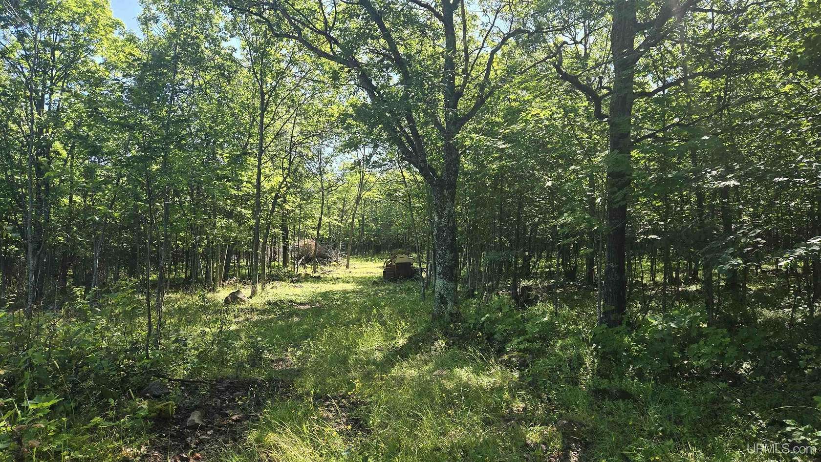 9.87 Acres of Residential Land for Sale in Mohawk, Michigan
