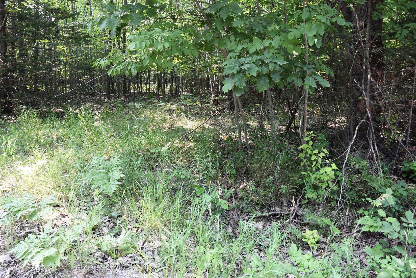 Land for Sale in Indian River, Michigan