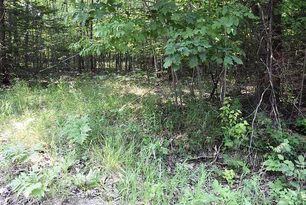 Land for Sale in Indian River, Michigan