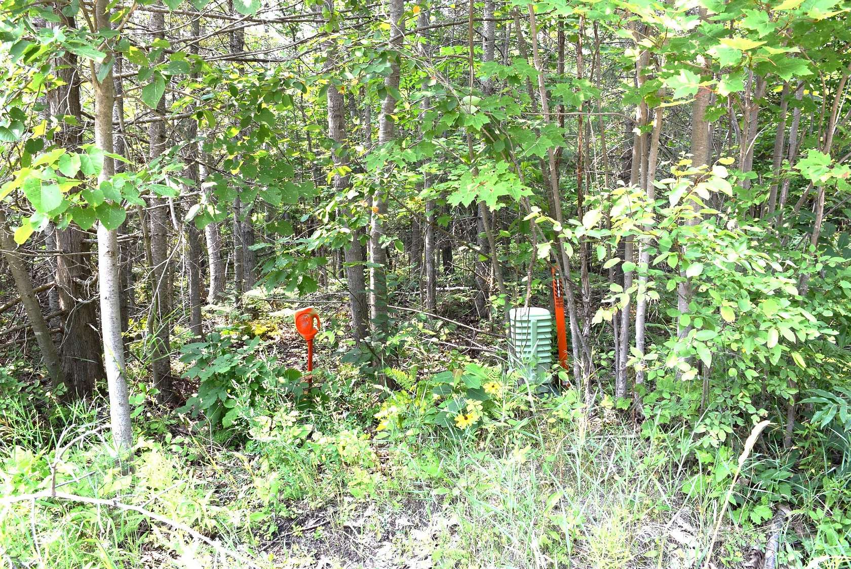 Land for Sale in Indian River, Michigan
