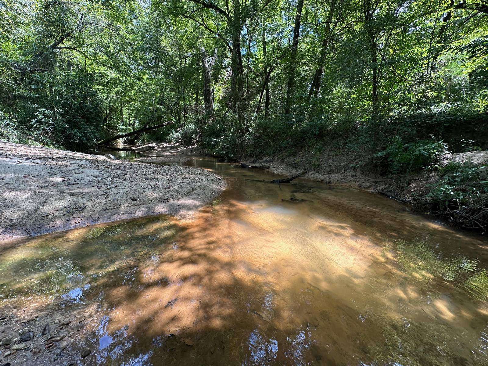 80 Acres of Recreational Land for Sale in Pinola, Mississippi