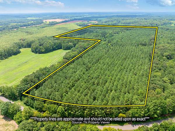 62.4 Acres of Recreational Land for Sale in Darden, Tennessee