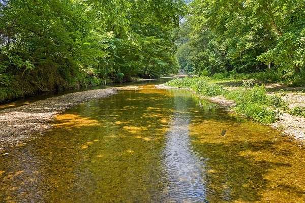 13.8 Acres of Land for Sale in Dover, Tennessee