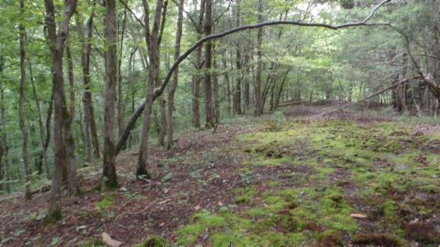 2.64 Acres of Residential Land for Sale in Celina, Tennessee