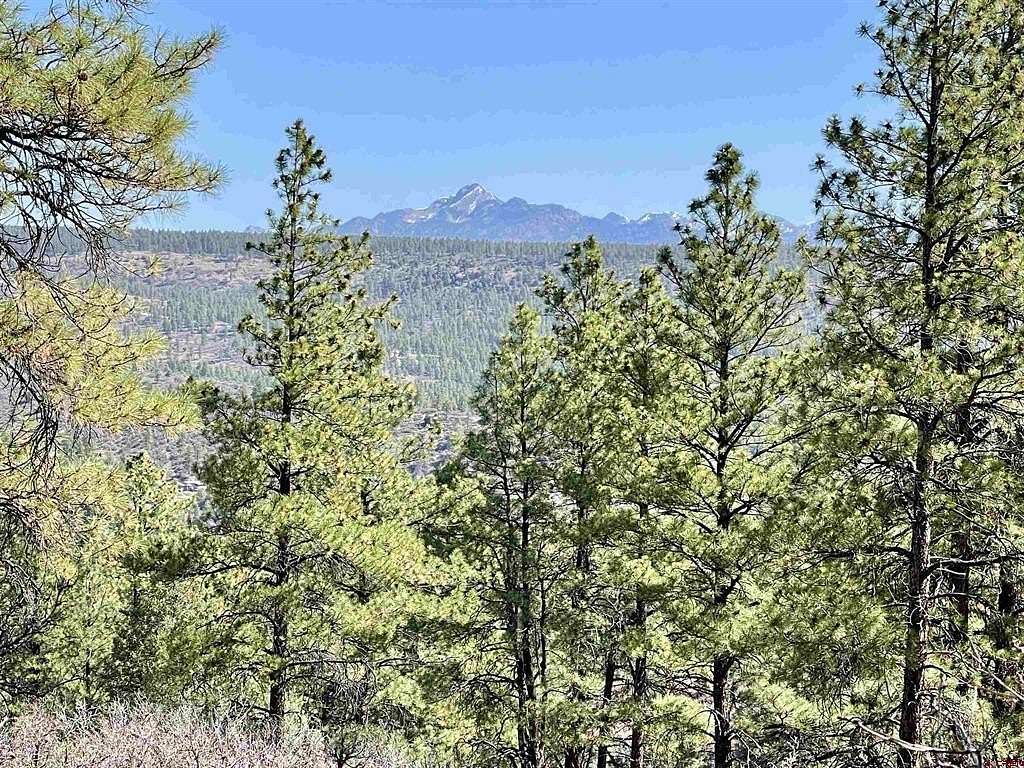 1.8 Acres of Residential Land for Sale in Pagosa Springs, Colorado