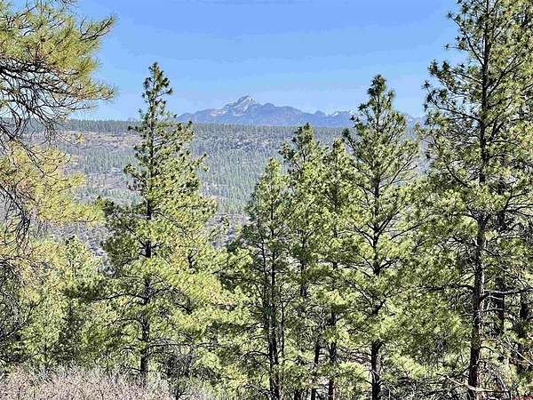 1.8 Acres of Residential Land for Sale in Pagosa Springs, Colorado
