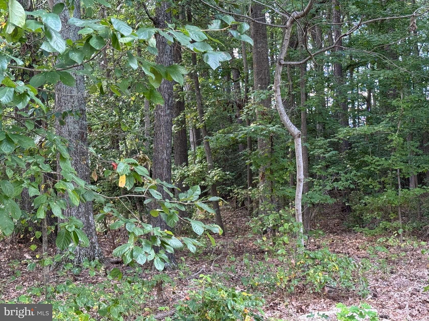 0.14 Acres of Land for Sale in Leonardtown, Maryland