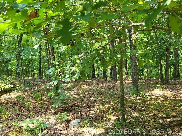 4 Acres of Residential Land for Sale in Edwards, Missouri