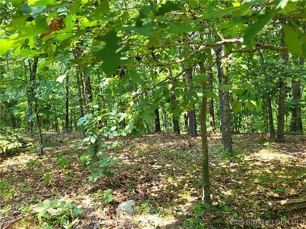 4 Acres of Residential Land for Sale in Edwards, Missouri