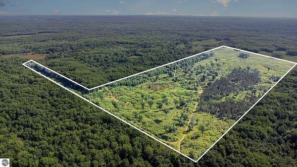 93.3 Acres of Recreational Land for Sale in Harrison, Michigan