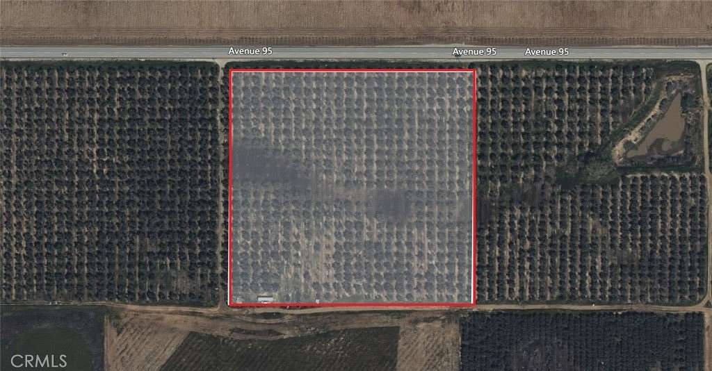 58.4 Acres of Agricultural Land for Sale in Terra Bella, California