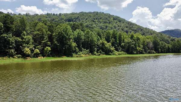 148 Acres of Recreational Land for Sale in Ashville, Alabama