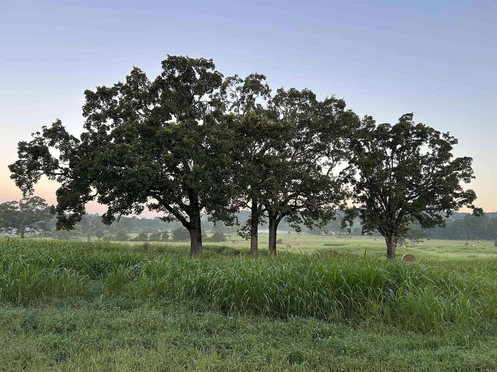 34.2 Acres of Land for Sale in Mena, Arkansas