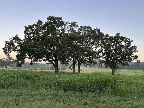 34.2 Acres of Land for Sale in Mena, Arkansas