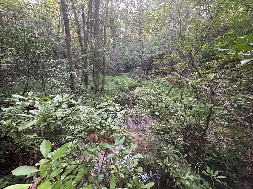2.19 Acres of Residential Land for Sale in Lancaster, Virginia