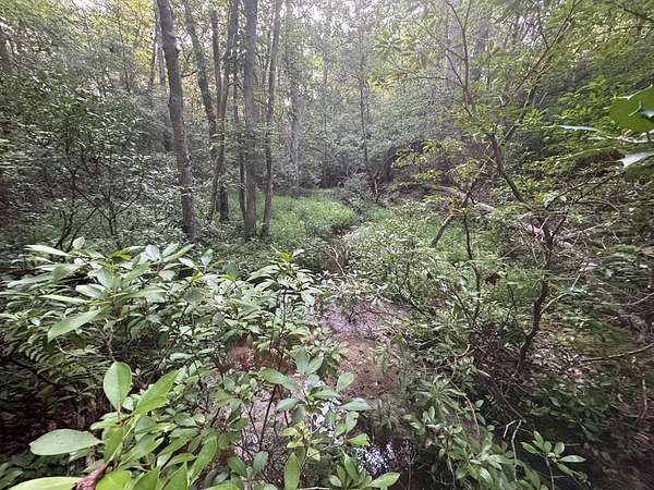 2.19 Acres of Residential Land for Sale in Lancaster, Virginia