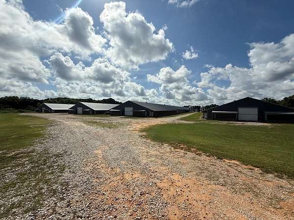 28 Acres of Agricultural Land for Sale in Midland City, Alabama