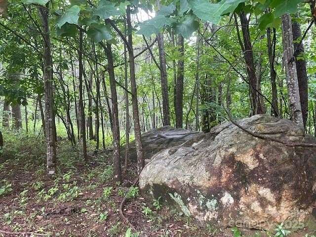 1.69 Acres of Land for Sale in Mill Spring, North Carolina