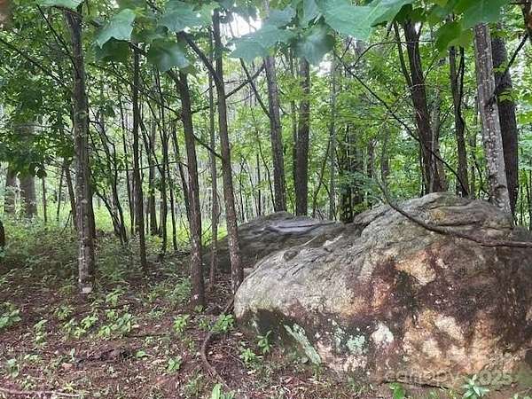 1.69 Acres of Land for Sale in Mill Spring, North Carolina