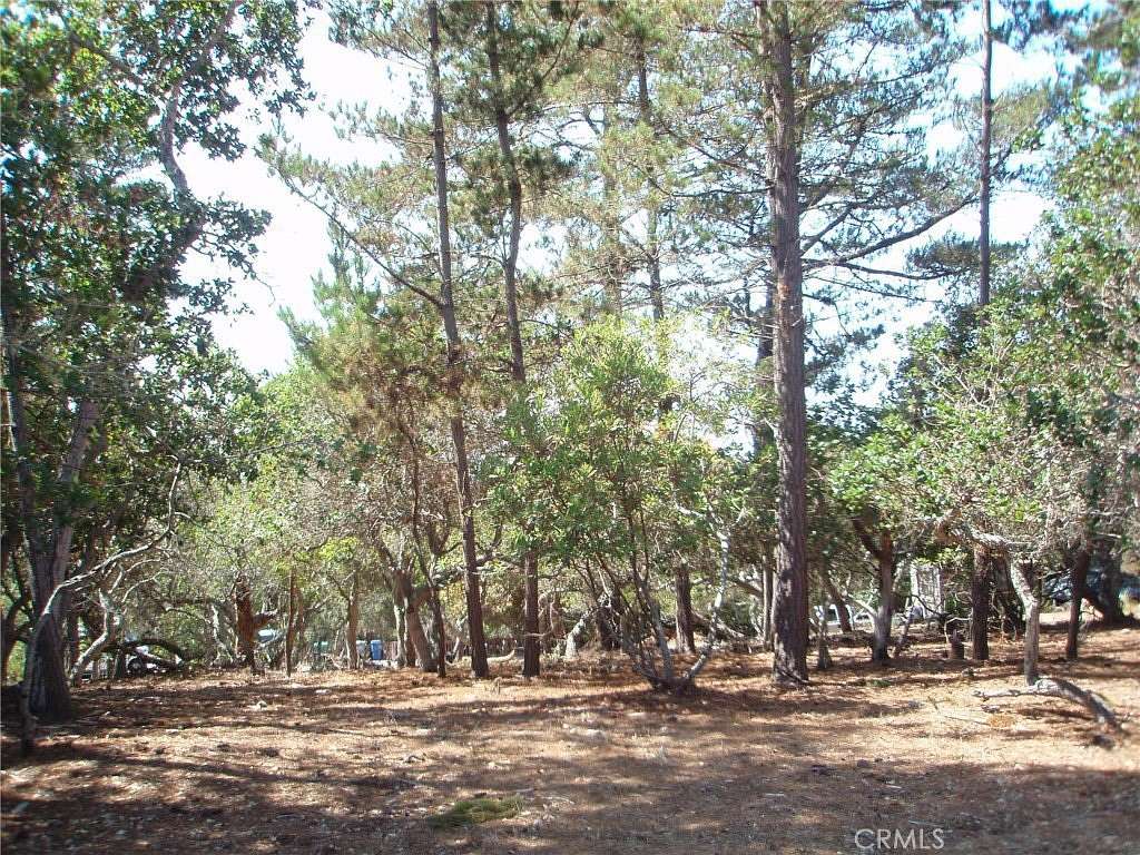 0.12 Acres of Land for Sale in Cambria, California