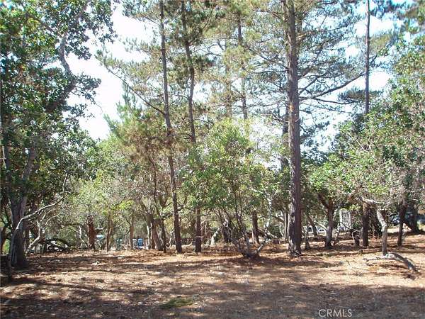 0.12 Acres of Land for Sale in Cambria, California