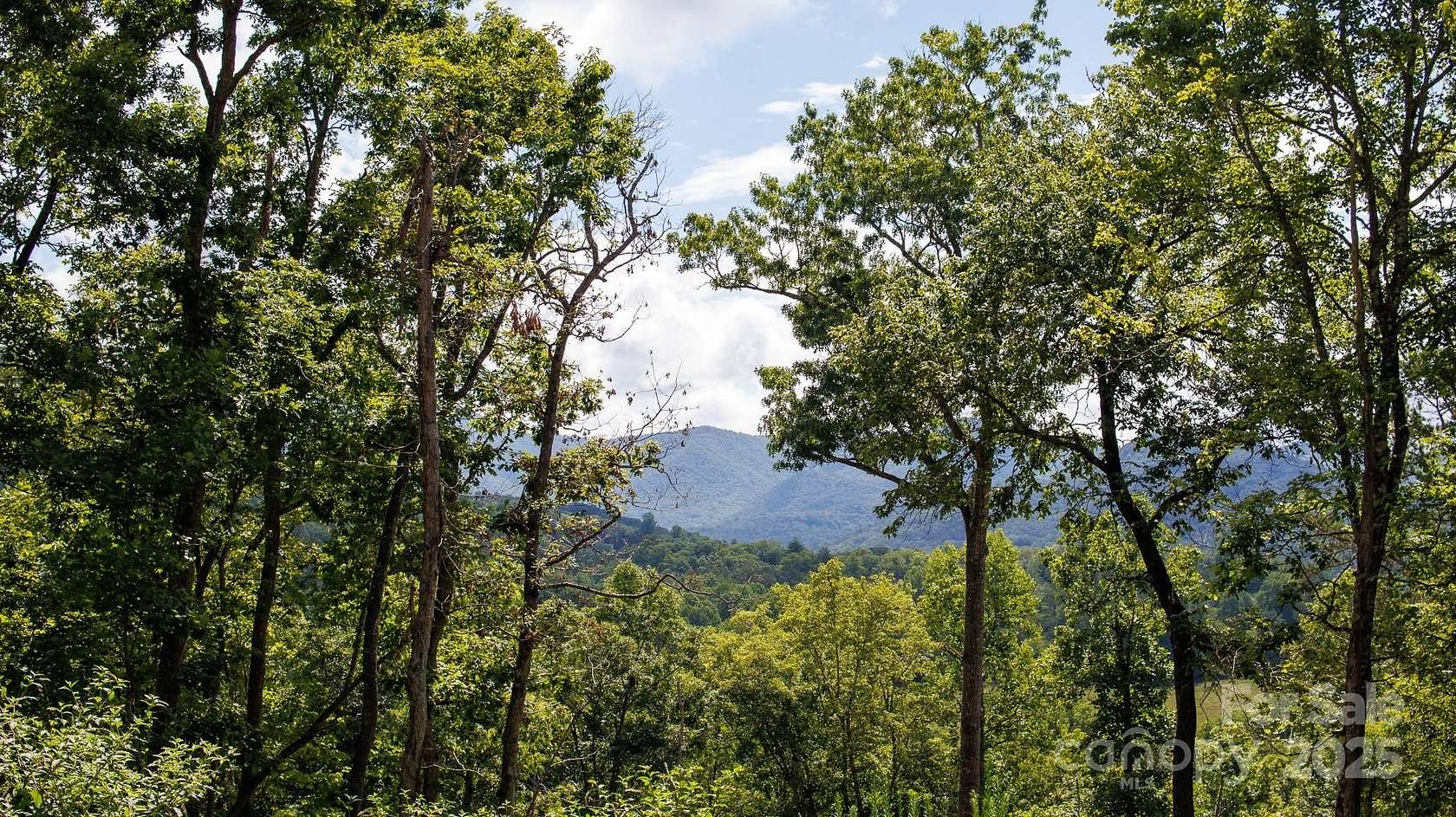 0.42 Acres of Land for Sale in Franklin, North Carolina