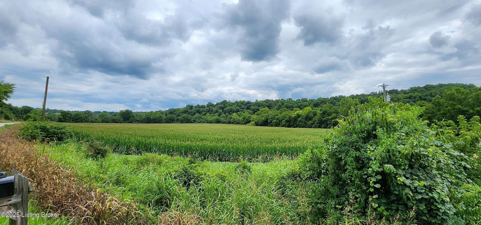 20 Acres of Land for Sale in Taylorsville, Kentucky