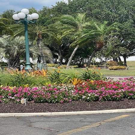 0.08 Acres of Residential Land for Sale in Venice, Florida