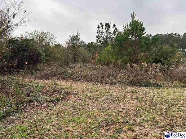 2 Acres of Commercial Land for Sale in Florence, South Carolina
