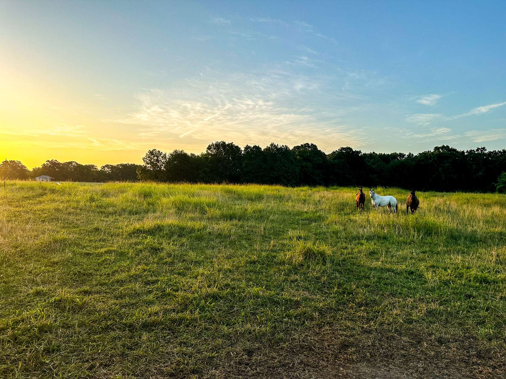 35 Acres of Recreational Land & Farm for Sale in Goodman, Missouri