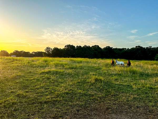 35 Acres of Recreational Land & Farm for Sale in Goodman, Missouri