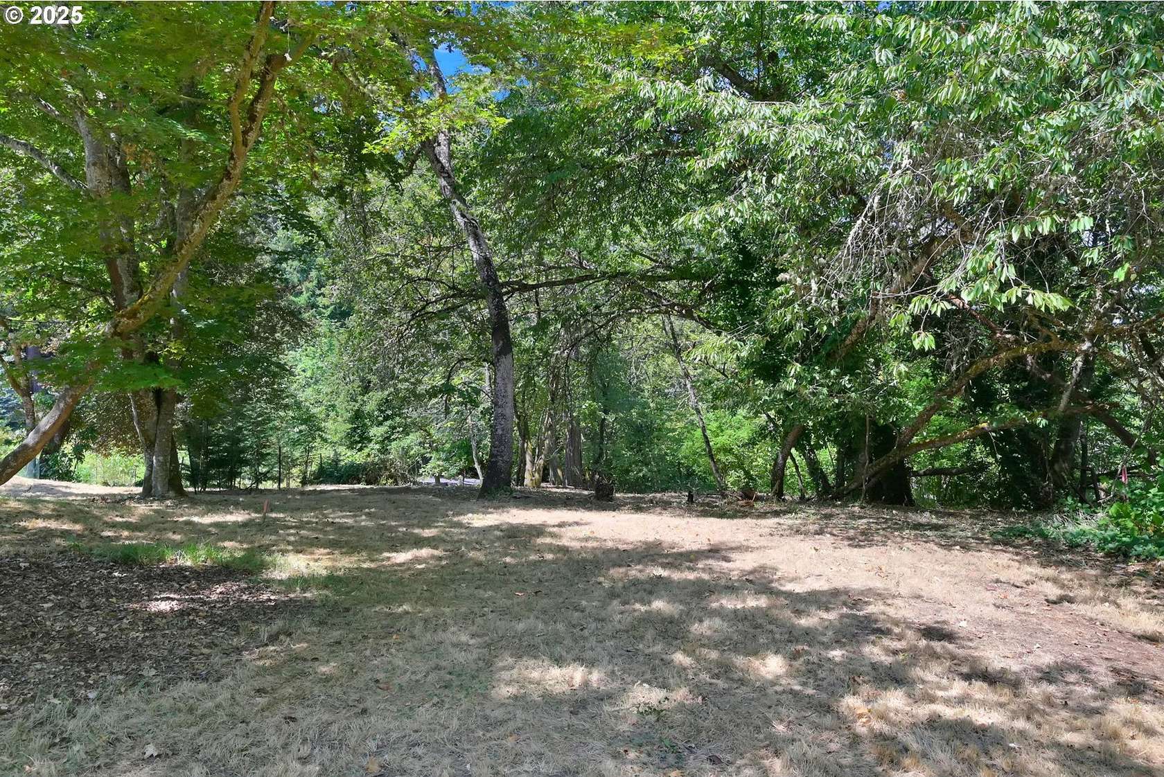 0.16 Acres of Residential Land for Sale in Eugene, Oregon