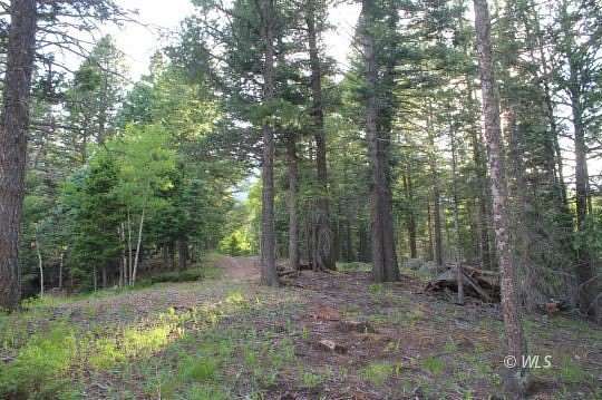 0.73 Acres of Land for Sale in Rye, Colorado