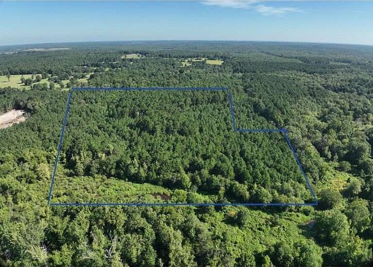 16.2 Acres of Land for Sale in Bivins, Texas