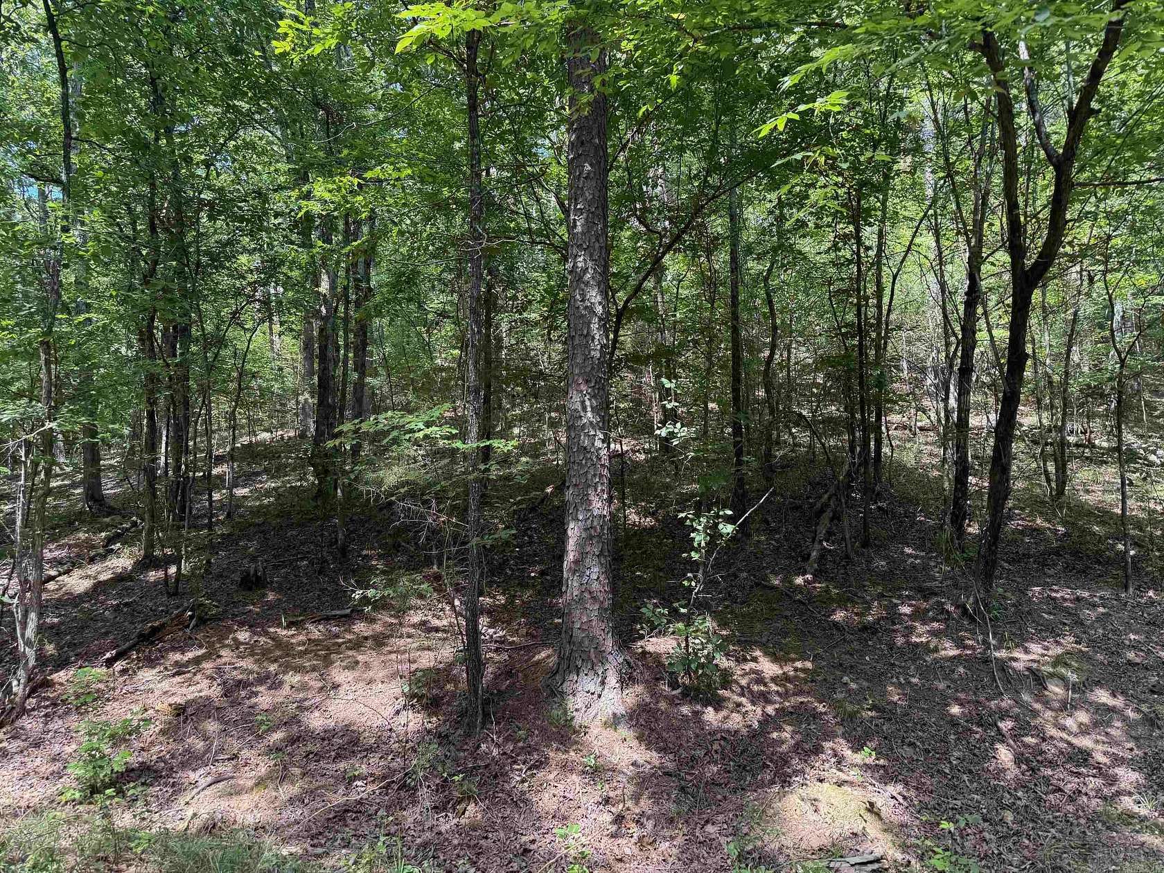 16.5 Acres of Land for Sale in Mena, Arkansas