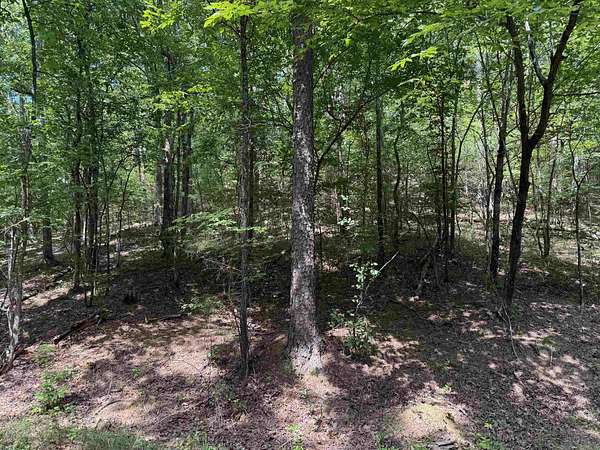 16.5 Acres of Land for Sale in Mena, Arkansas