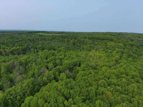 6.44 Acres of Residential Land for Sale in Newport, New York