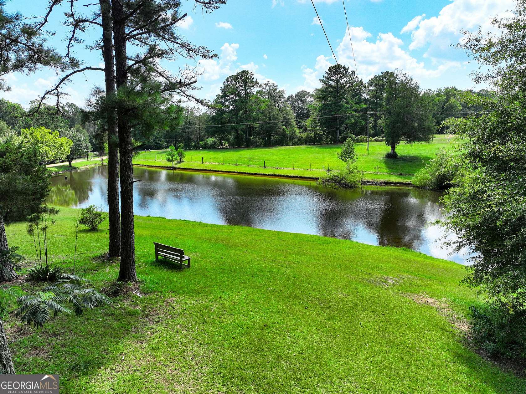 25 Acres of Recreational Land for Sale in La Fayette, Alabama